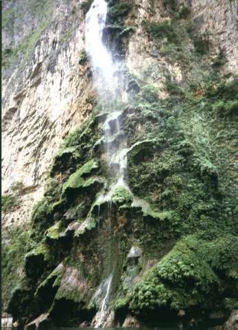Canyon del Sumidero, El arbol de navidad